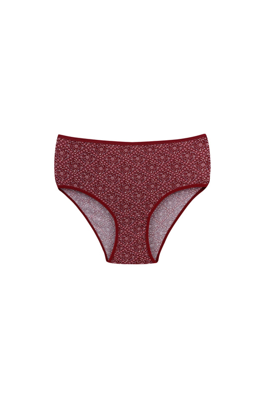 High Waist & Full Brief- Pack of 2